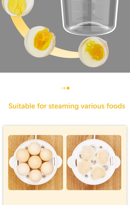 Electric Eggs Cooker